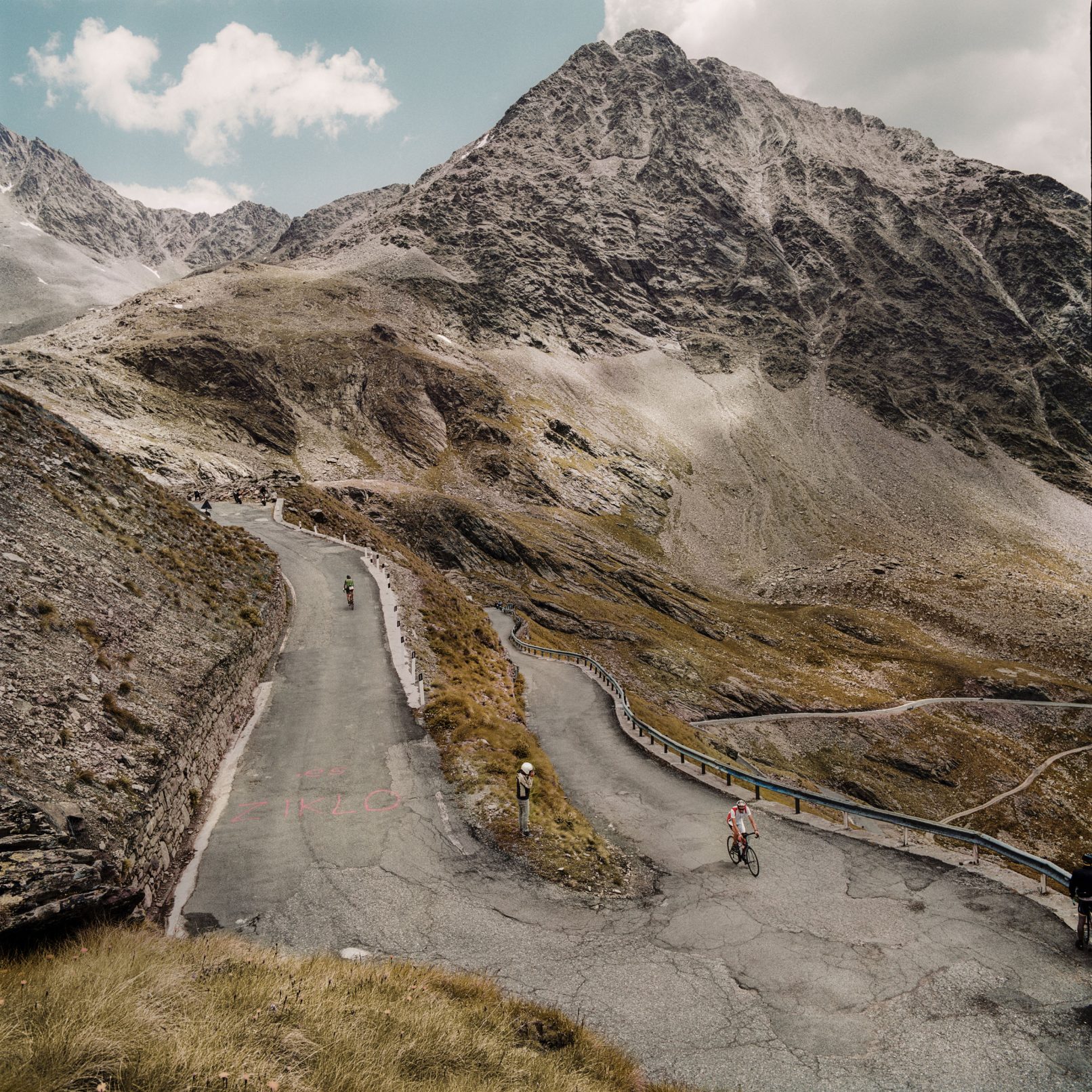 Passfoto "Passo di Gavia IV, 2017"