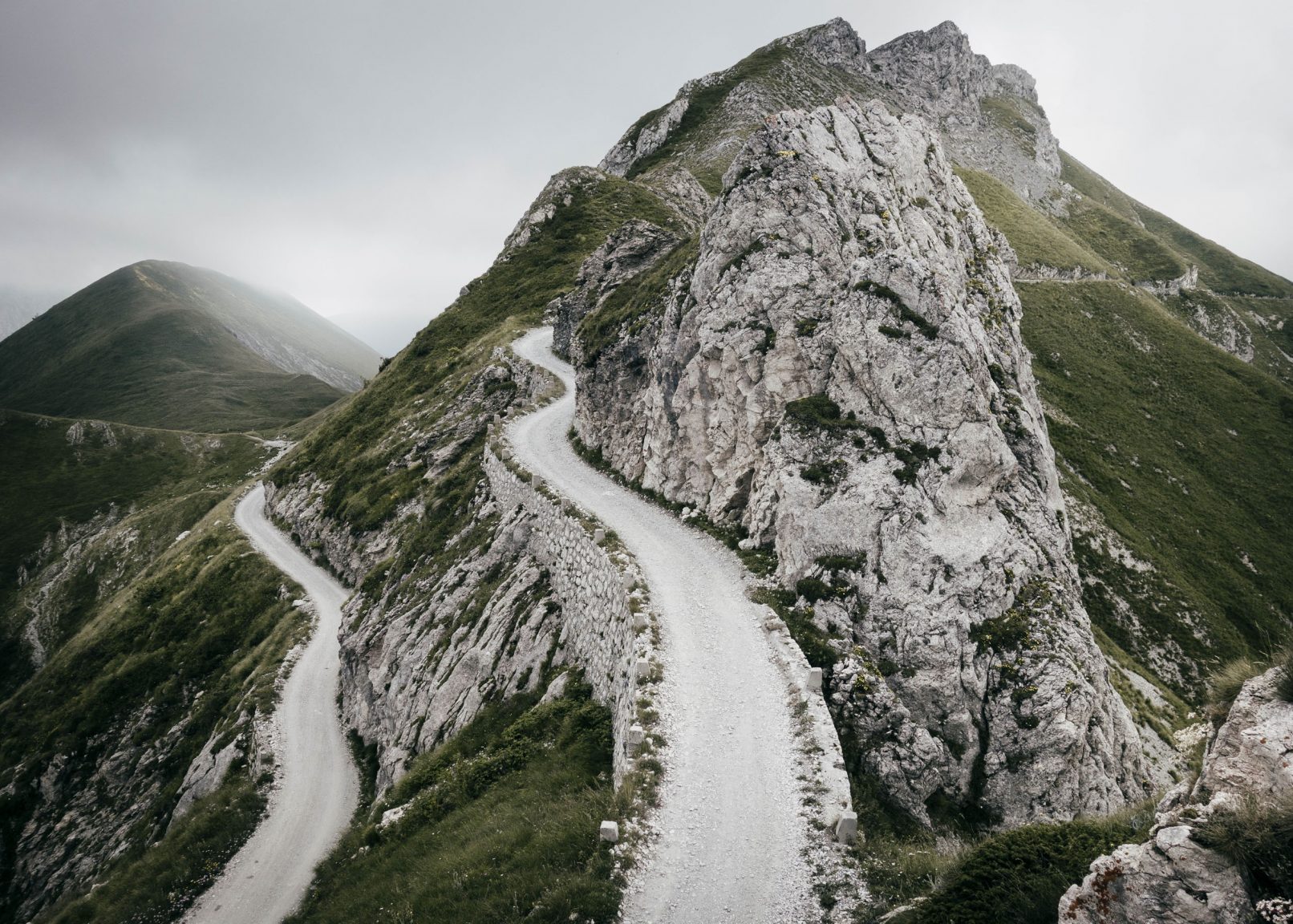 Passfoto "Colle della Boaria II, 2015"