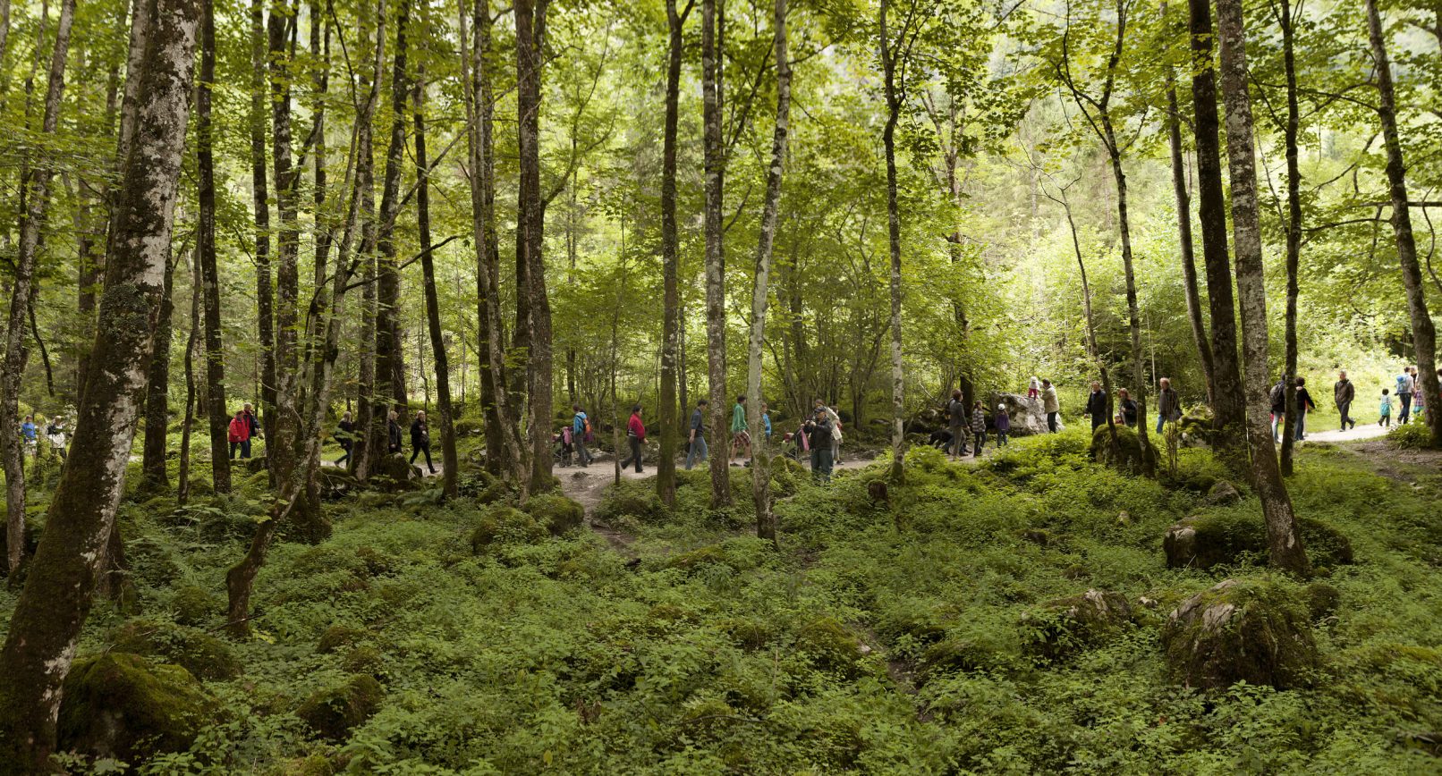 Aufnahme Serie "Mensch und Natur": Spaziergänger