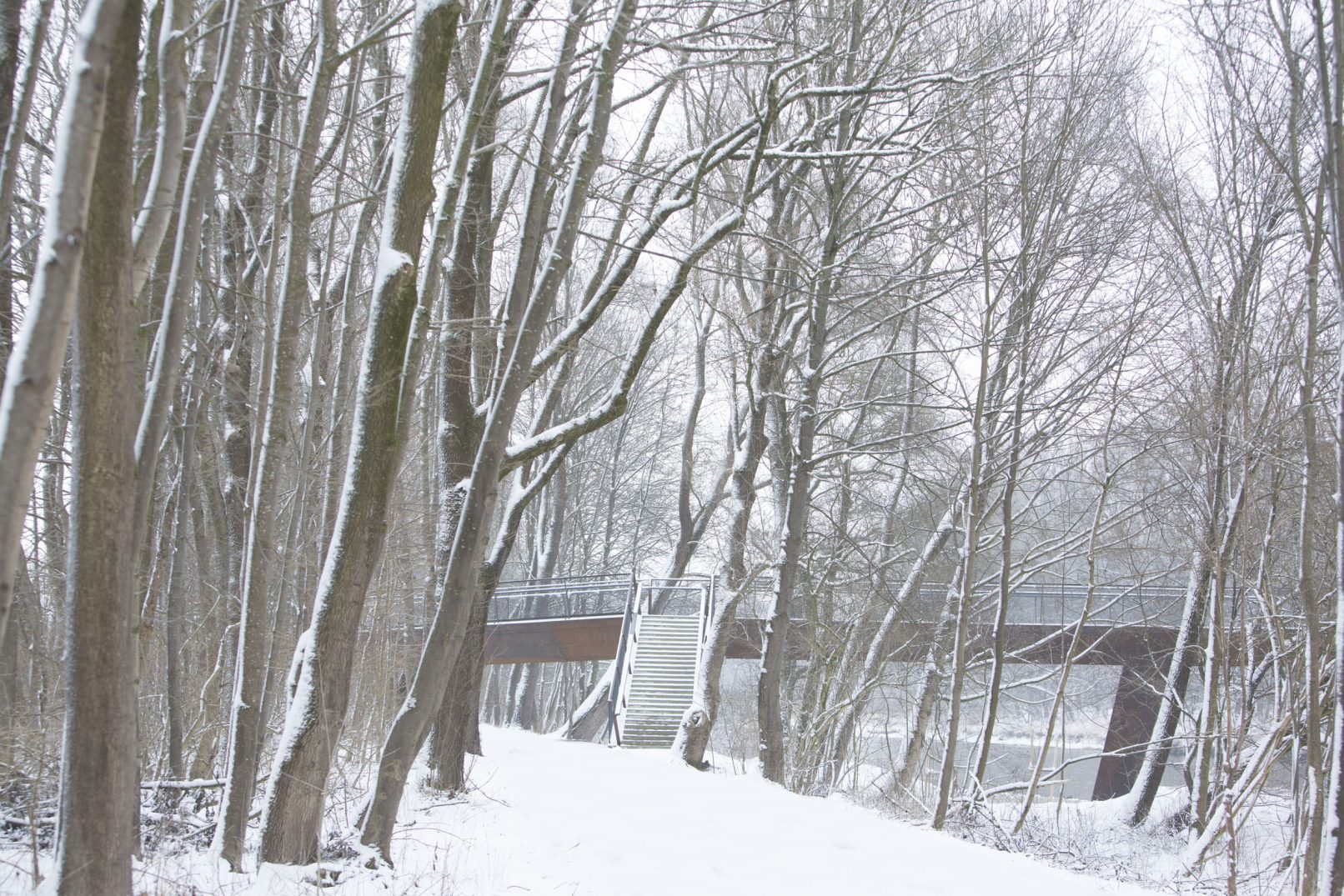 Aufnahme Serie "Mensch und Natur": Isarbrücke Freising