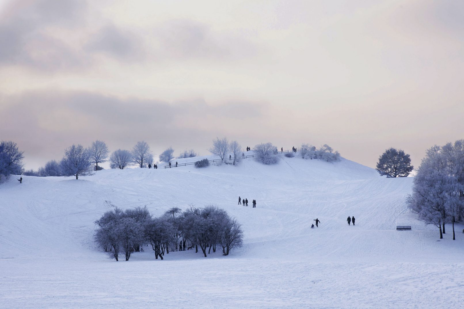 Aufnahme Serie "Mensch und Natur": Schneelandschaft in München