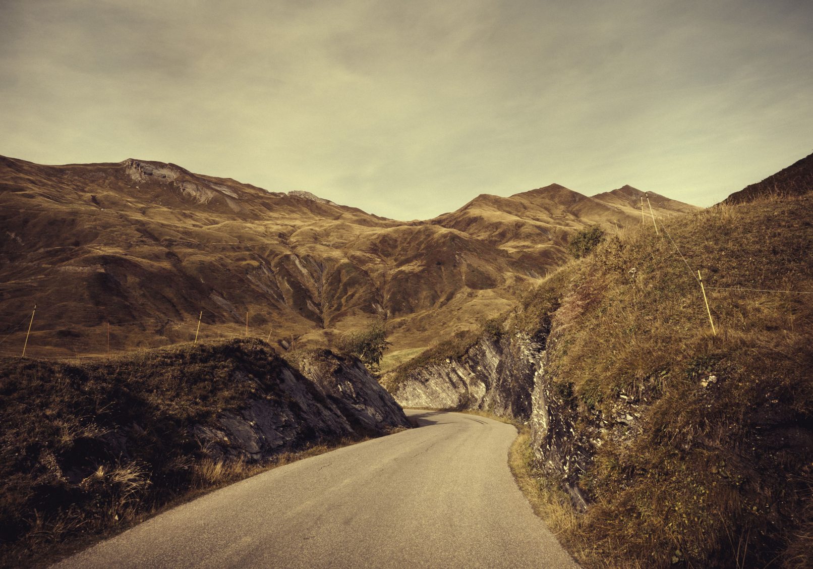 Passfoto "Cormet de Roselend, 2017"