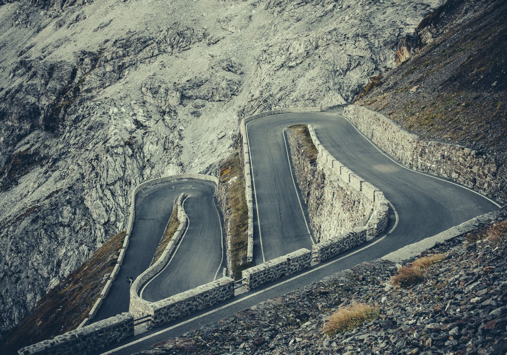 Passfoto "Passo di Stelvio I, 2013"